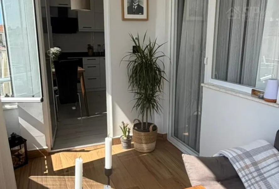1+1, 56m2, CEBI