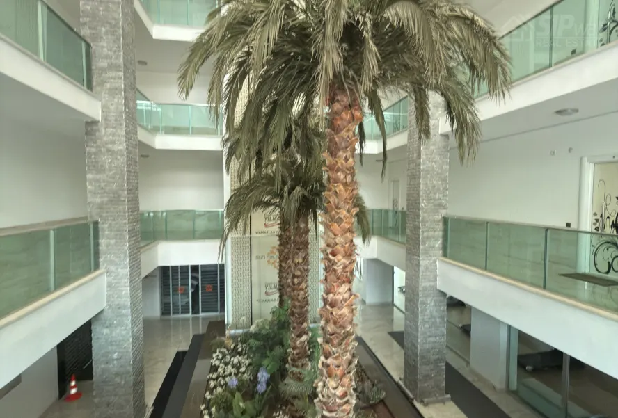 1+1, 70m2, SUN PALACE GARDEN