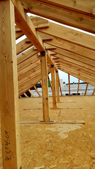 Haus nach individuellem Entwurf, Dorf Troitsko-Nikolskoe: Dach