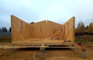 Haus 54 m² nach individuellem Projekt, Dorf Leonovo: Wandmontage