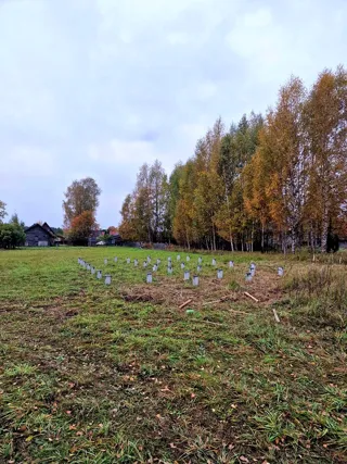 Haus nach individuellem Projekt, Dorf Protive: Fundament und Grundrahmen