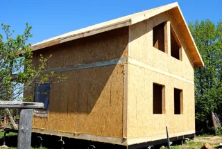 Haus nach Projekt „Metschta XXL“, Dorf Palmintsyno: Wandmontage
