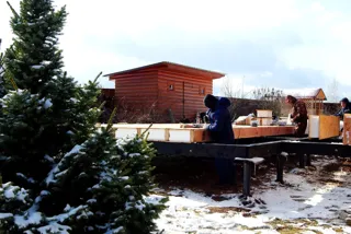 Haus nach Projekt „Garmonija 122.89“, Dorf Buzharovo: Fundament und Grundrahmen