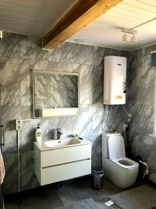 “Vernisazh” projeli ev, SNT bahçe topluluğu “Polyana”: iç işler