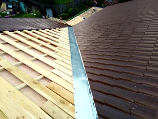Custom-design house, Shurintsevo village: roofing