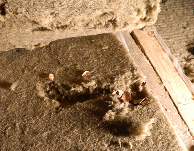 Mice and mineral wool